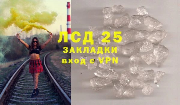 прущие крисы Сосновый Бор