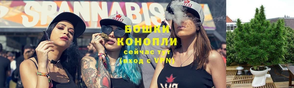 ПСИЛОЦИБИНОВЫЕ ГРИБЫ Слюдянка